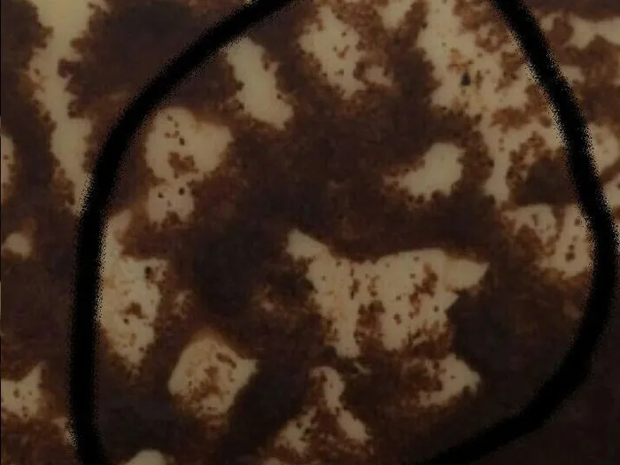 Запись на консультацию к гадалке в Жигулёвске